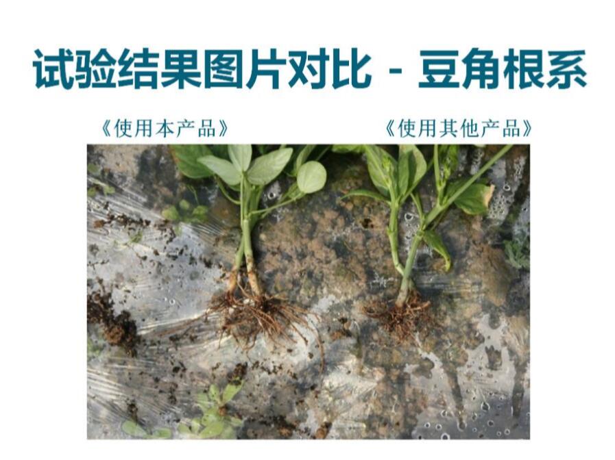 黃金土使用案例