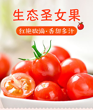 生態圣女果（小番茄）